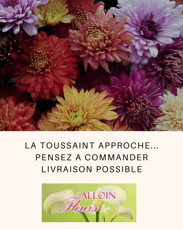 La Toussaint approche, Vaugneray, Alloin Fleurs