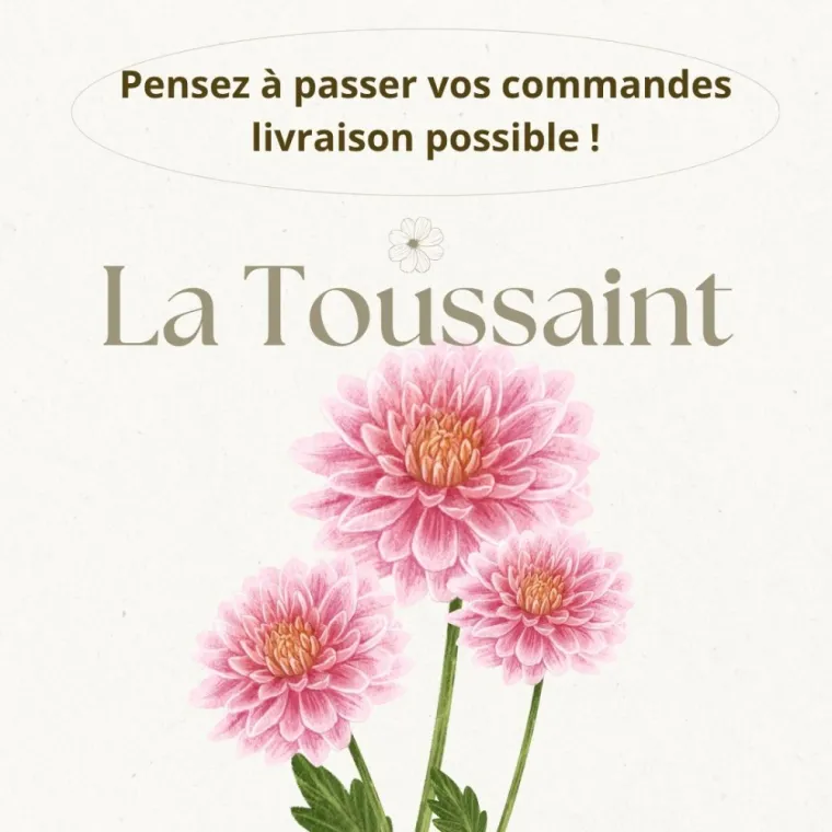 Fleurs Toussaint