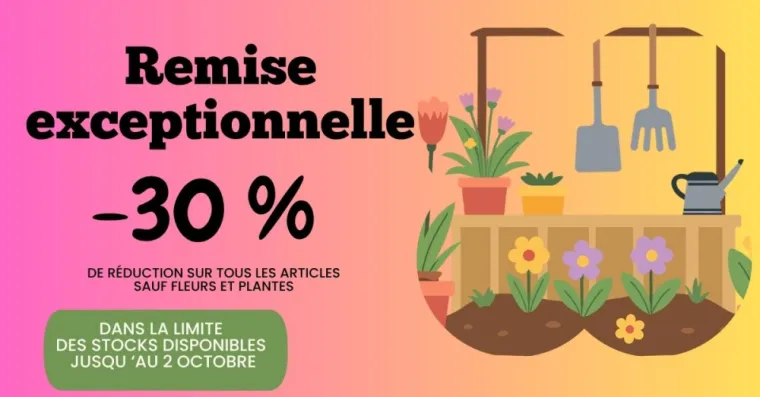 remise exceptionnelle 30%